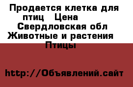 Продается клетка для птиц › Цена ­ 500 - Свердловская обл. Животные и растения » Птицы   